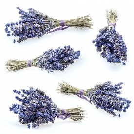 Lavender (Bulgaria) essential oil